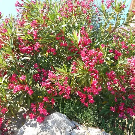 B&B Anduze Le Clos Des Cigales Penzion Massillargues-Attuech